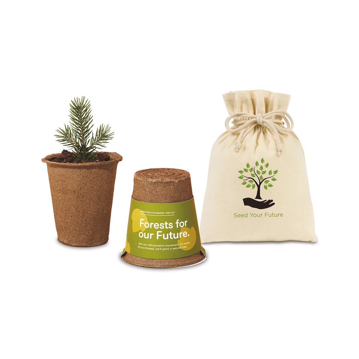 Modern Sprout One For One Tree Kits